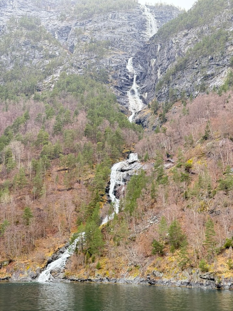 A scenic view of a waterfall cascading down a rocky cliff surrounded by pine trees along a fjord.