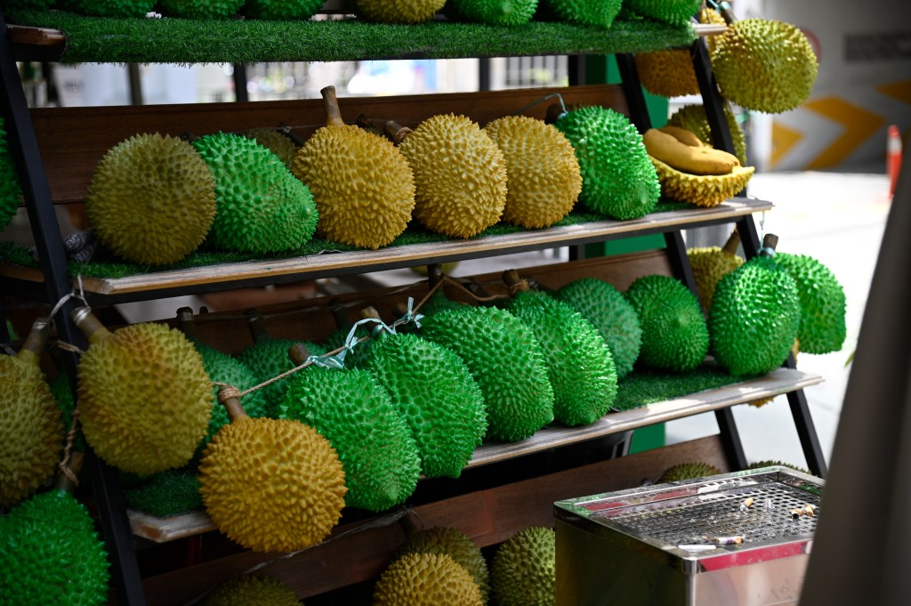 A display of durians, showing various spiky fruits in shades of green and yellow, arranged on shelves in a market setting.