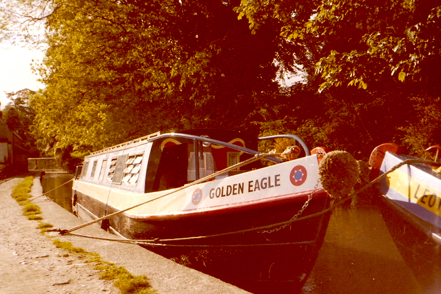 A narrowboat named 'Golden Eagle' moored alongside a canal, surrounded by greenery.